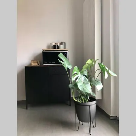 Liebevoll Sanierte, Grosszuegige Stadtwohnung, 70 Qm Apartment Quedlinburg