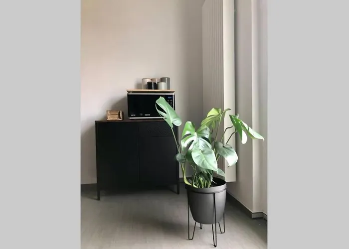 Liebevoll Sanierte, Grosszuegige Stadtwohnung, 70 Qm Apartmán Quedlinburg