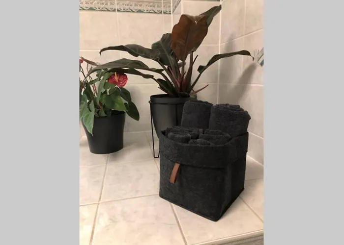 Apartmán Liebevoll Sanierte, Grosszuegige Stadtwohnung, 70 Qm *