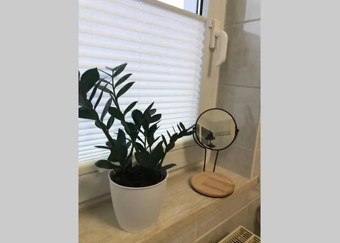 Liebevoll Sanierte, Grosszuegige Stadtwohnung, 70 Qm Apartmán