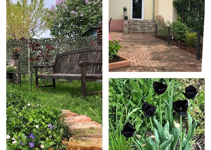 Apartmán Liebevoll Sanierte, Grosszuegige Stadtwohnung, 70 Qm *